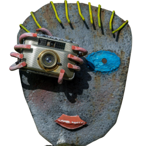 close-up-plant-against-blurred-background