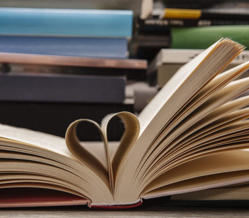 literatuur